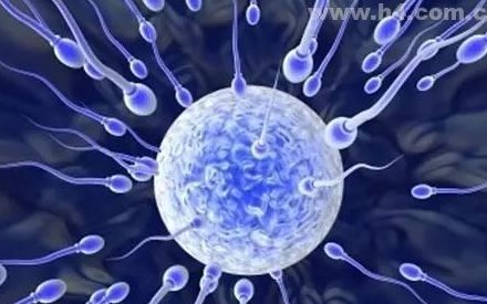 国内三代试管婴儿费用明细表，做第三代试管要准备多少钱