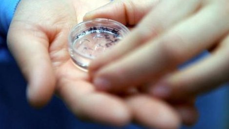 河南省人民医院三代试管费用多少？河南省人民医院试管成功率高不高？