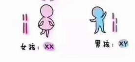 上海哪家医院试管成功率高一点医院优势是什么