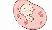 女性有染色体罗氏易位在甘肃省做试管养囊成功率高吗？试管移植后需要保胎吗！