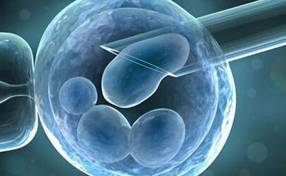 子宫内膜5mm是厚还是薄？可以做试管婴儿吗？